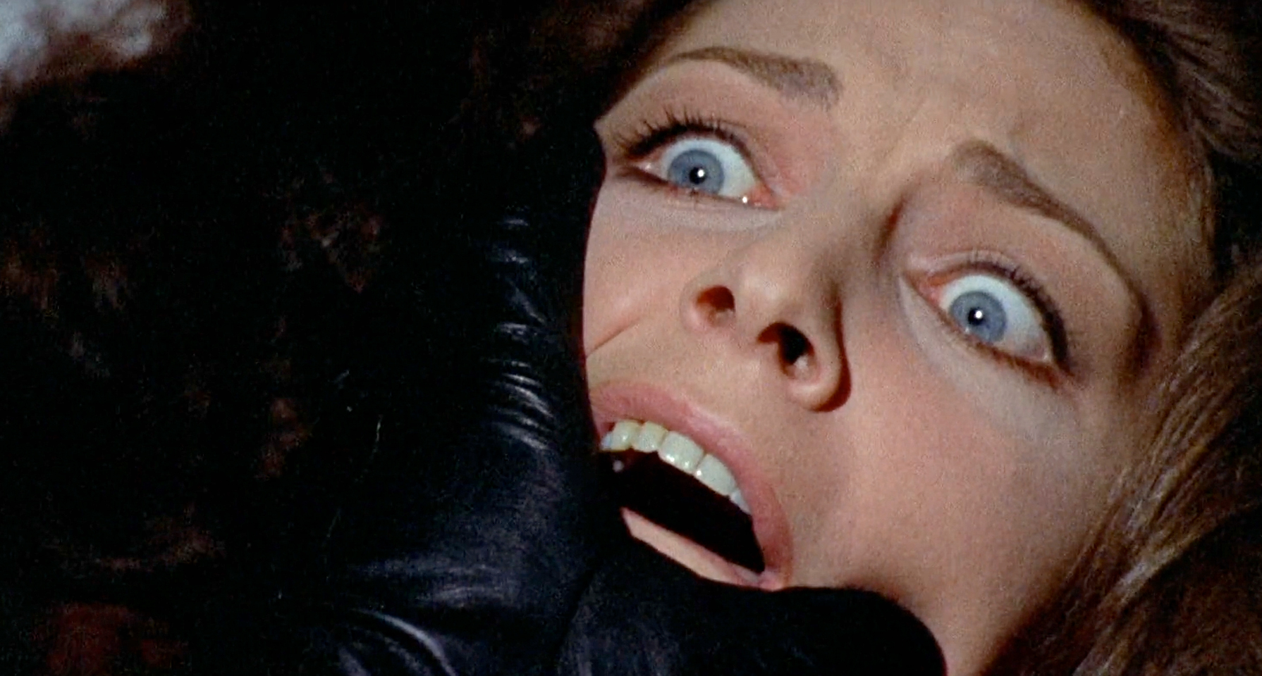 giallo bird with the crystal plumage