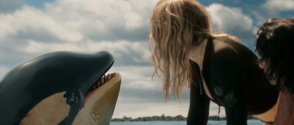 Killer Whale