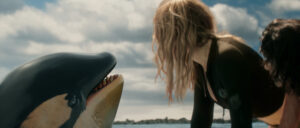Killer Whale